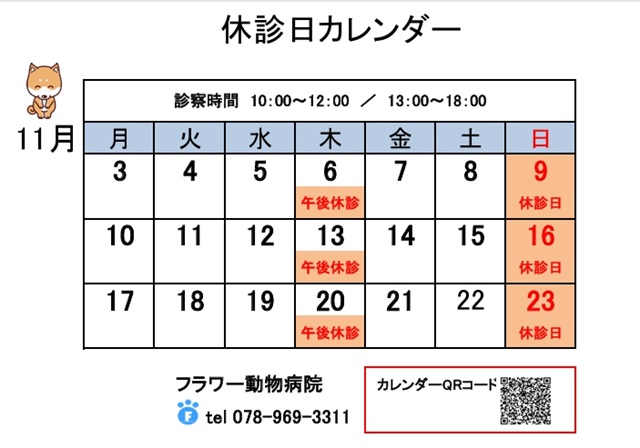 休診日のお知らせ|神戸・明石のフラワー動物病院