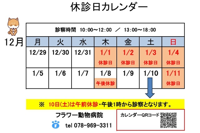 休診日のお知らせ|神戸・明石のフラワー動物病院